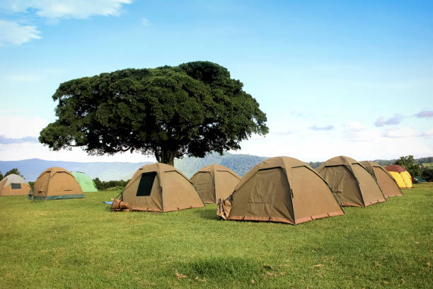 4-Days Camping Safari