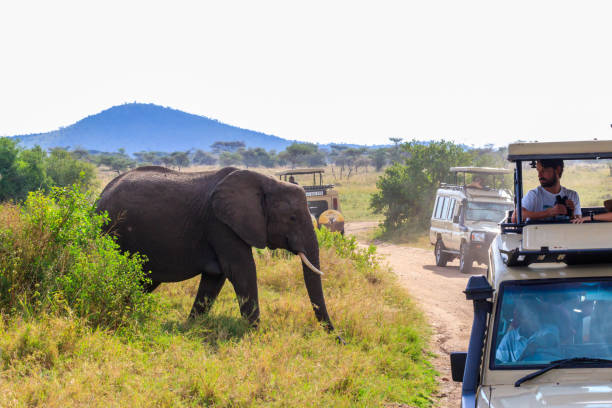 4-Days Luxury Safari