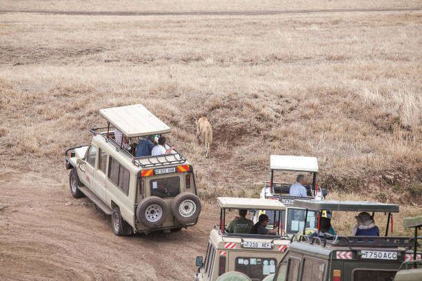 5-Days Luxury Safari