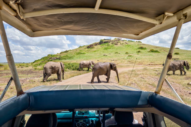 3-Days Luxury Safari