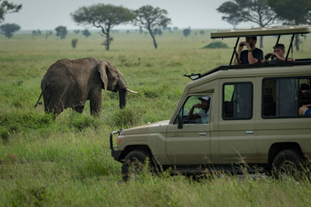 4-Days Join Safari