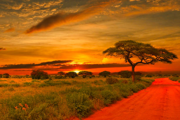 7-Days Uganda Safari