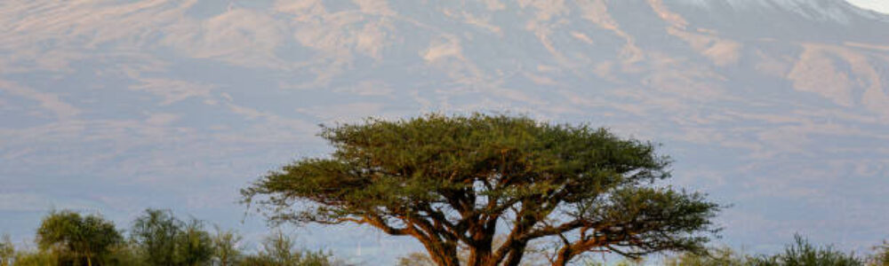 IMG-20250523-WA0009