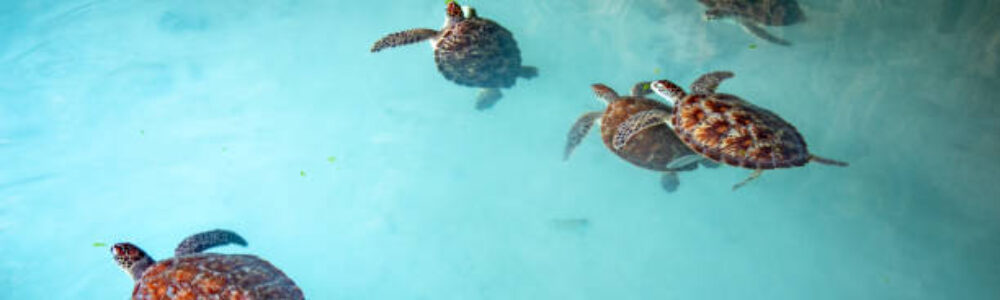 IMG-20250524-WA0005